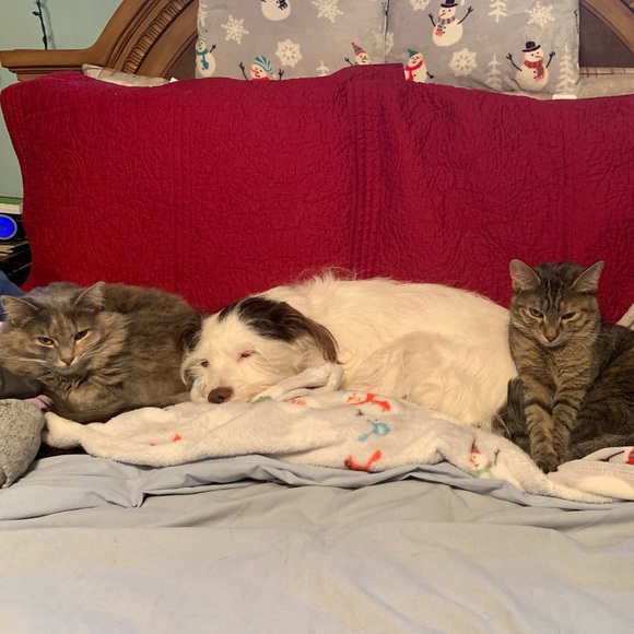 Meet your Posher, Mary - Picture 2 of 5